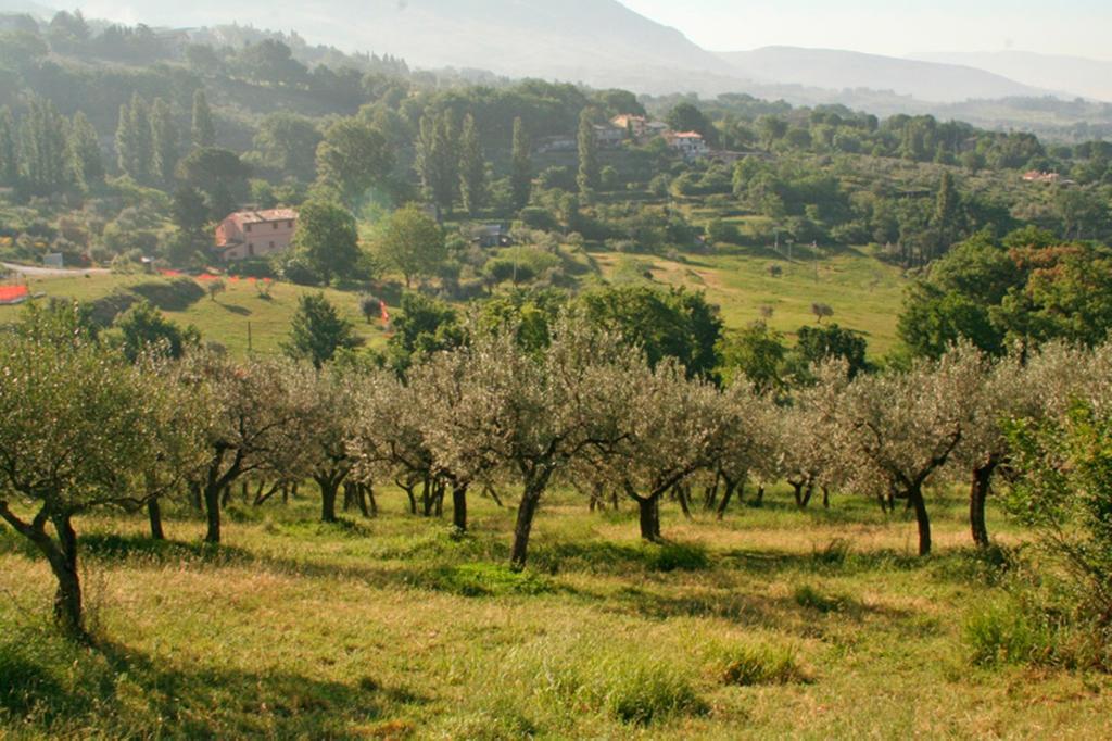 Rugiada Casa de hóspedes 3*