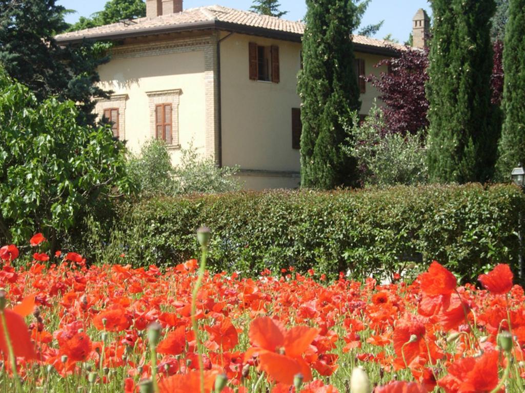 Guest house Rugiada 3*